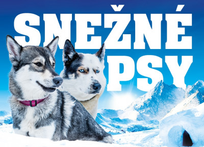 snezne_psy2019_front Podujatia