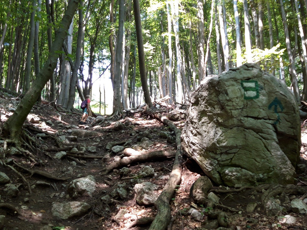 certov_zlab_front Hlbočianskou dolinou a Čertov&yacute;m žľabom na Smolenick&yacute; z&aacute;mok