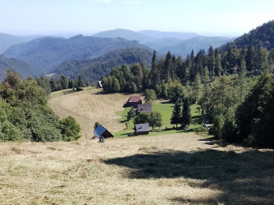 Od Tlst&eacute;ho javora po Červen&uacute; skalu