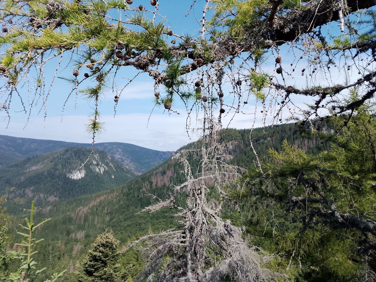 V&yacute;hľady z Poludnice