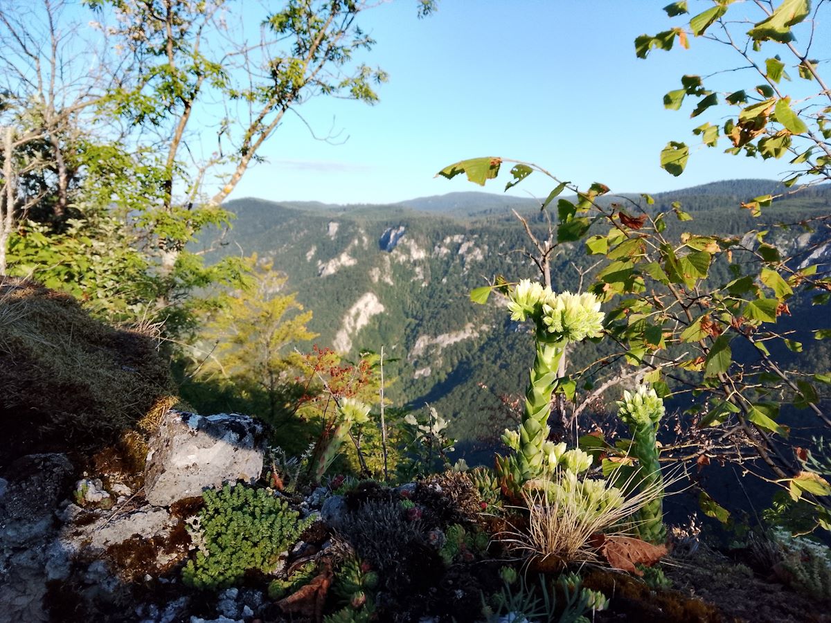Pohľad z Mur&aacute;nskeho hradu