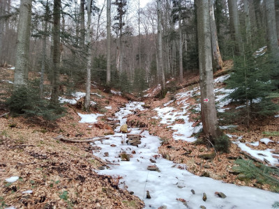 Predjarn&aacute; Stužica