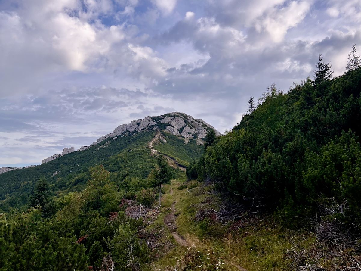 V pozad&iacute; Salat&iacute;n