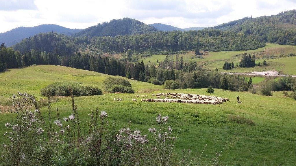 obrazok12 V&scaron;etko je inak, alebo ako som pre&scaron;iel chodn&iacute;kom Jakuba Surovca