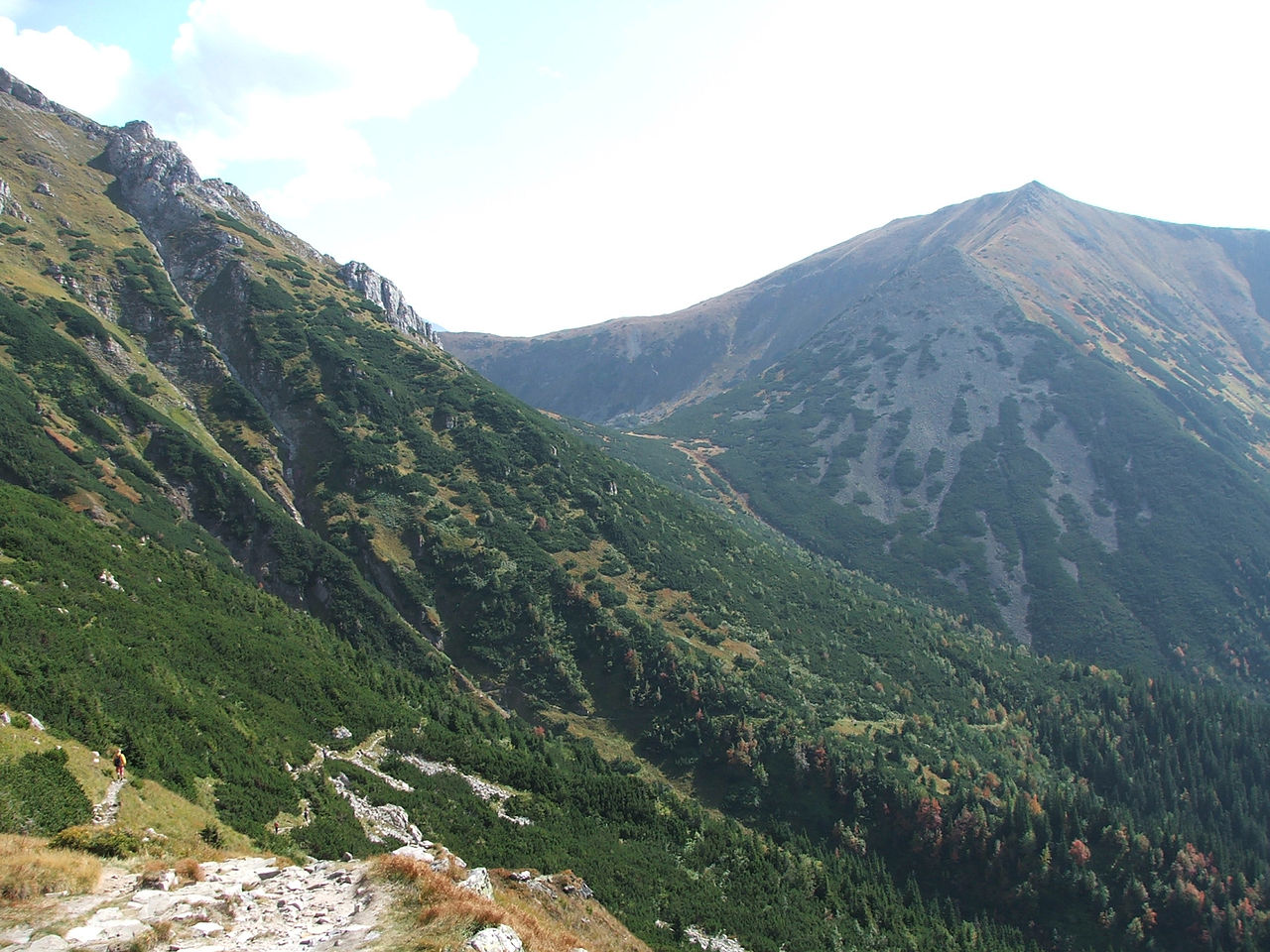 tomanovske_sedlo Tatranské Matliare (885m) - Tatranské osady