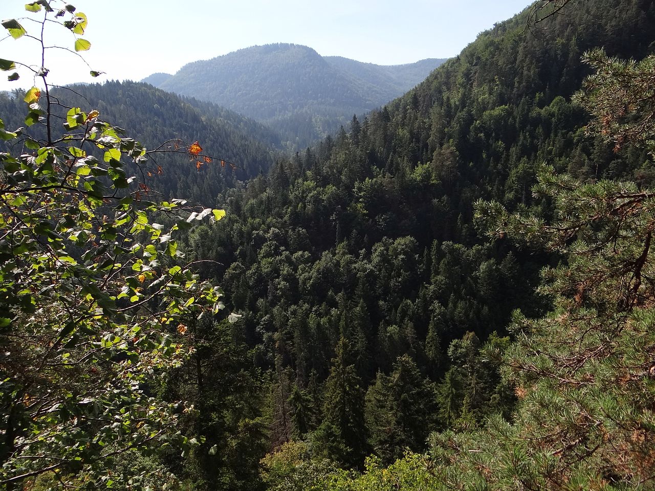 biely_potok_pritok_hornadu Belianska jaskyňa